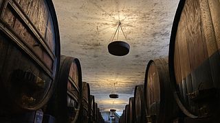 Tour Privado de Dia Inteiro com Degustação de Comida e Vinho