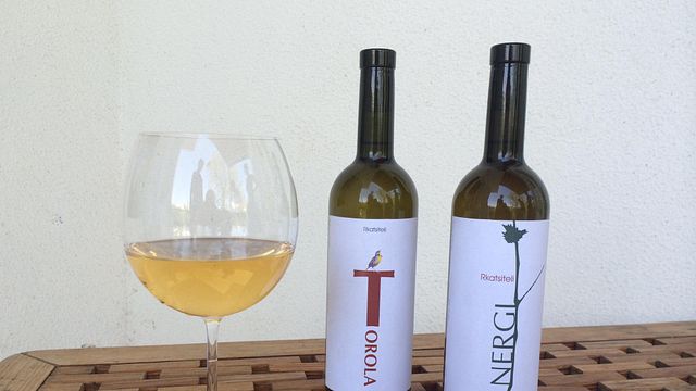 Cata de vinos y visita a la bodega Elizbar Talakvadze
