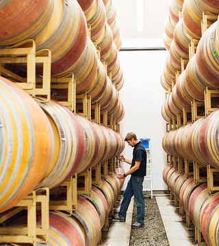 Cata de vinos y visita guiada a los viñedos Emeritus