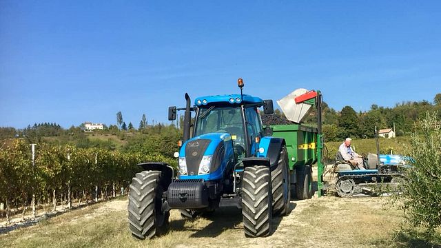 Wine tasting and tour at Azienda Agricola Tenuta Capri
