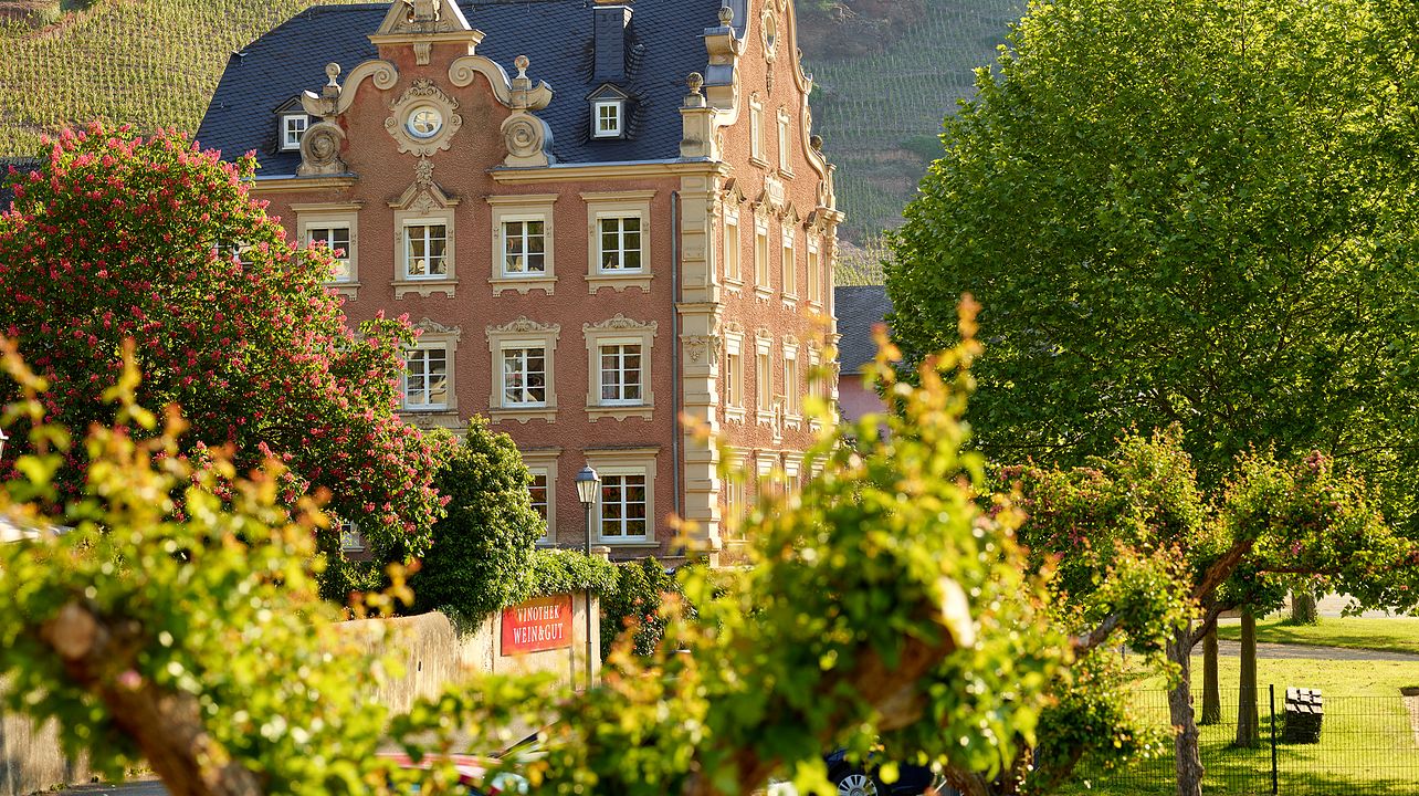 Weingut Mönchhof