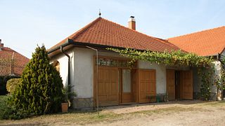 Danube Wine Journey: Taste & Tradition in Kőszeg