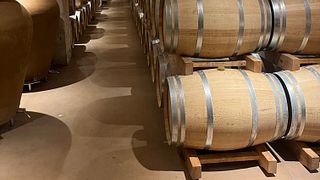 L'affascinante Saint Emilion, il cuore della famosa regione vinicola di Bordeaux