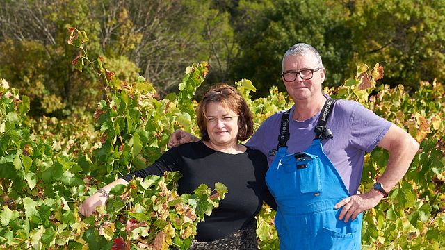 Weinprobe im Domaine De Saint Cels