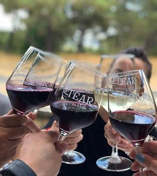 Degustazione e tour di vini premium ad Adega Tear