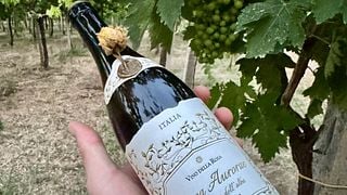 Winery tour and tasting of 3 wines at Villa della Rosa