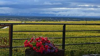 Wine tasting and tour at Domaine Bott Frères