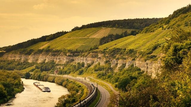 Weingut Höfling: A Legacy of Franconian Winemaking