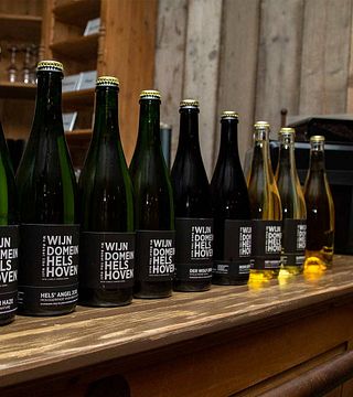 Dégustation de vins et visite sur mesure au Wijndomein Helshoven
