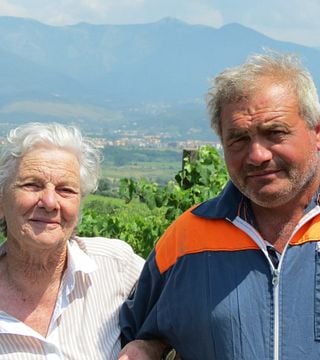 Dégustation de vins et visite à Capolino Perlingieri
