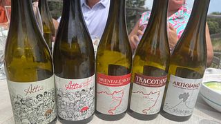 Weinbegleitung zum Abendessen (Bio)