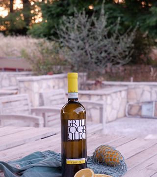 Azienda Vitivinicola Tola