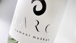 Podravska Wine & Pairing Tour at Vino Jarc