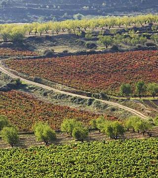 Wine Tasting at Bodegas Marqués de Reinosa