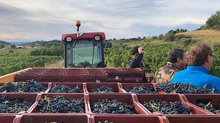 Degustazione di vini e visita al Domaine de la Senche