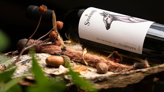 Degustazione di vini e tour popolari presso la tenuta Sanavardo