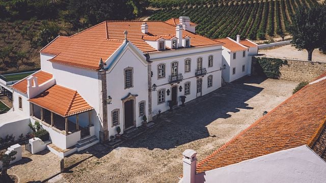 Degustazione di vini e spettacolo di dressage