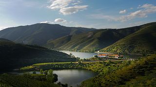 Tawny portvinsprovning på Quinta Do Tedo
