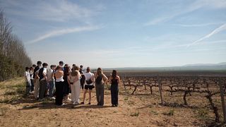 Patrimonio del Vino en Málaga | Visita y Cata de Vinos