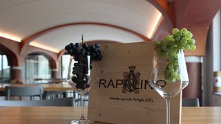 Uncover Classic Wines in Piedmont