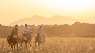 Gourmet Horse Riding Experience