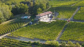 Visita e degustação de vinhos em Az Ag Sukula