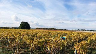 Domaine de la Belle Étoile
