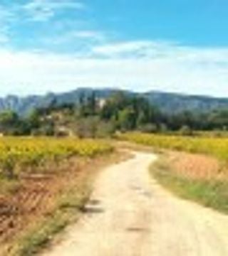 Más que un tour de vinos: un día como un local en el auténtico campo