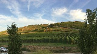 Winzergenossenschaft Achkarren Im Kaiserstuhl