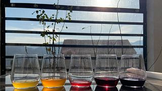 Degustazione e visita alla Cantina Georgino