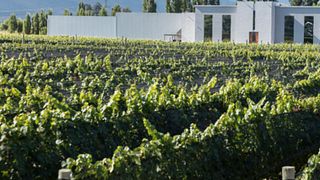 Bodega Foster Lorca