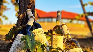 Pago De Las Encomiendas Winery