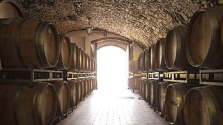 Sommeliers finaste vinprovning på Castello Vicchiomaggio