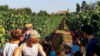 Experiencia de descubrimiento en Tenuta Di Trecciano