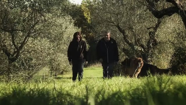 Degustação na adega da Tenuta di Gramineta