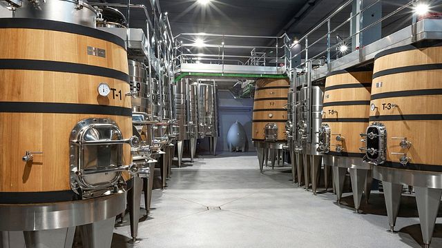 Wine Tasting and Tour at Viñedos De Sonsierra