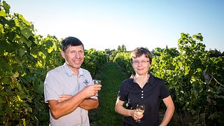Vinprovning på Domaine Haut Marin