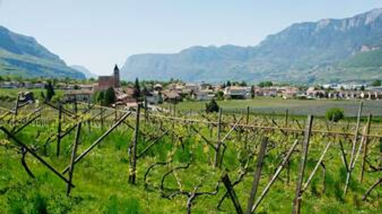 Glassierhof Winery