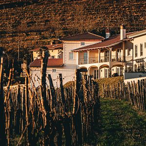 Exclusive use luxury villa-Peterc Vineyard Estate