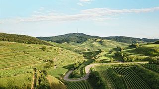 Kaiserstuehler Winzerverein Oberrotweil