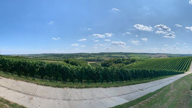 Pannon Wine Journey at Szeleshát Estate