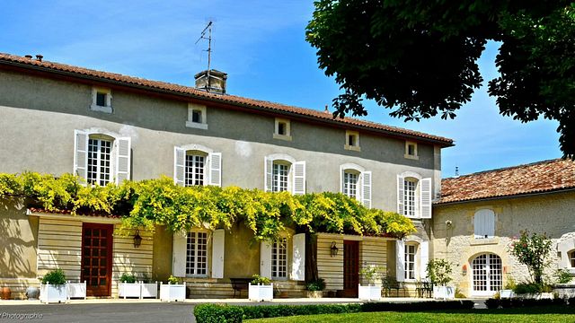 Cognac Bertrand