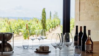 Volo del Vino Premium