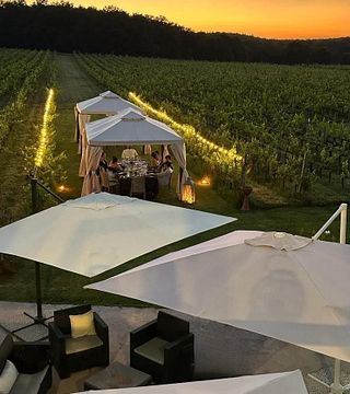 Repas avec dégustation de vins dans le vignoble de Podere Casanova