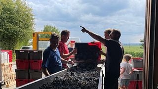 Domaine du Mortier