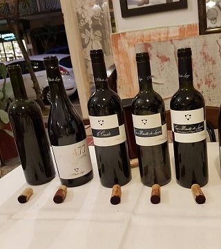 Degustação de vinhos e visita ao Agricole Alberto Longo