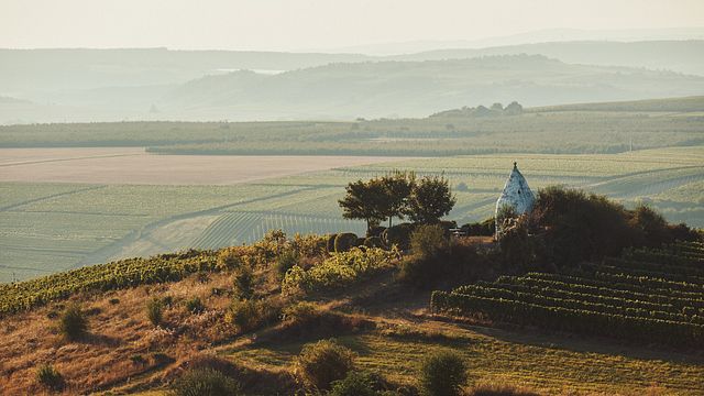 Meyerhof - Weingut, Vinothek & Gästehaus