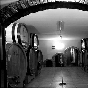 Degustazione e visita alla Martoccia Di Brunelli
