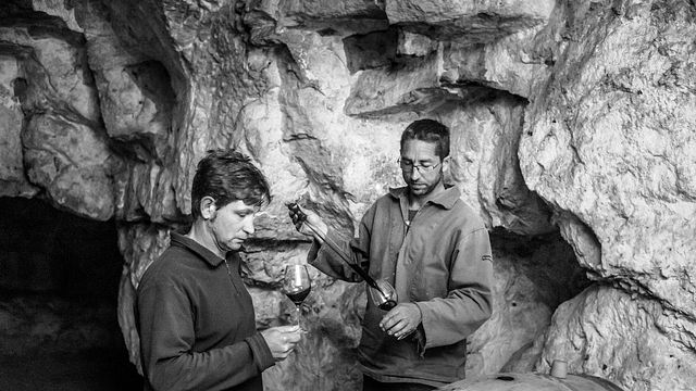 Cata de vinos y visita guiada al Domaine du Mortier.