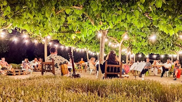 Weinprobe und Tour bei Artcava. Celler Can Batlle